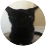 Sploinky