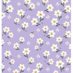 Aesthetically Lavenders
