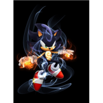 Sonic hero's