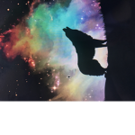 <> wolf squad <>