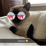 Kittycatkillerlol10’s group