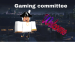 Gaming committee