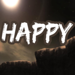$happyvcs$