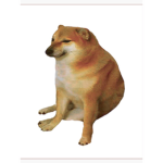 ImnotGroup