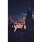Hogwarts Army!<3