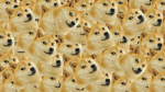 DOGETOWN!