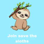 Save the sloth