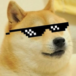 Doge wars!!!
