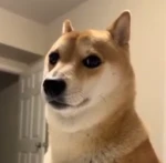 pro scp gamers Group Thumbnail