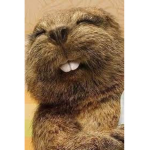 The Beaver Gang