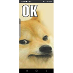 Doge gang/ fans of memes