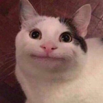 I AM STUPID???