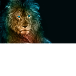 (New) LION FAN GROUP