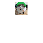 Floppa Army, We Have War With Binguses!