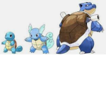 The Squirtle Evolution