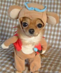 Puppy luvers! <3