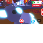 Koala Groupopss