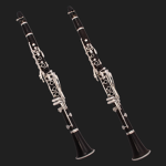 New marcher marching band