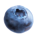 blueberry