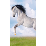 Horse squad lifetime
