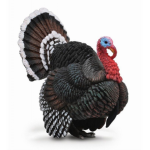 Los Pavos!
