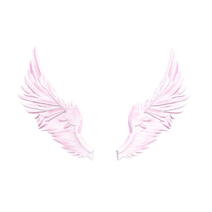 Pink Wings by Zelgraz preview 3