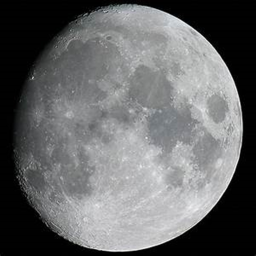 The Moon Shrine