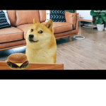 Doge Zone Official