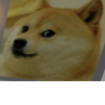 NOOBY-NOOBS