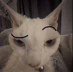 DSAU Gang