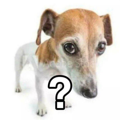 dog question mark confused Roblox decal
