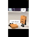 Sara are giving my friends robux