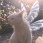 -adorbs -