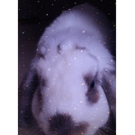 Hola_sigueme_yunete