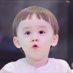 입양하세요,로구울@@