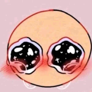 park photo and picnic