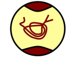 Aoedhan