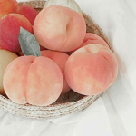 Aurelia’s peaches