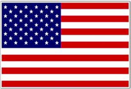 Small Wall Mounted Flag