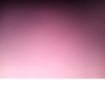 Eva_tort9