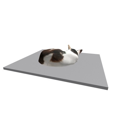 Cat in mat