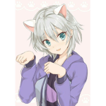 The Neko Nation