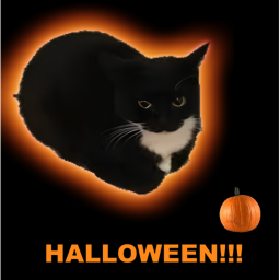 [HALLOWEEN 🎃] ride maxwell in a loop