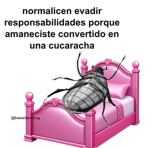 Carolitas Mich