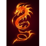 Fire ######## (Fr)