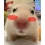 QueenRockyR:)