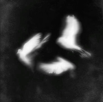 .Persecute | COMP