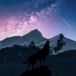 Midnight Wolf Warriors