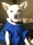 Doggy’s! :)