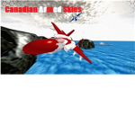 Canadian Armd Skies (C.A.S)